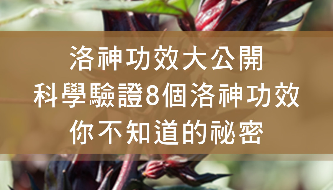 洛神功效大公開！科學驗證 8 個洛神功效你不知道的秘密 _測試文章