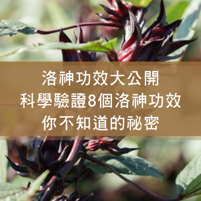 洛神功效大公開！科學驗證 8 個洛神功效你不知道的秘密 _測試文章