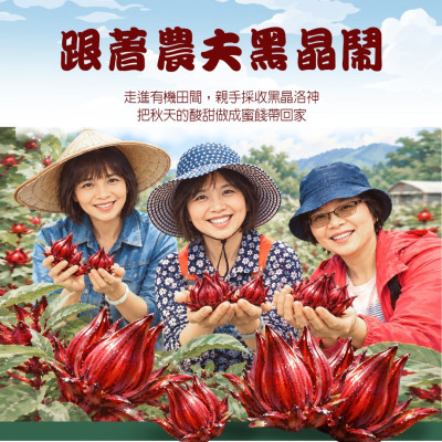 跟著農夫黑晶鬧：黑晶洛神採收季報名表