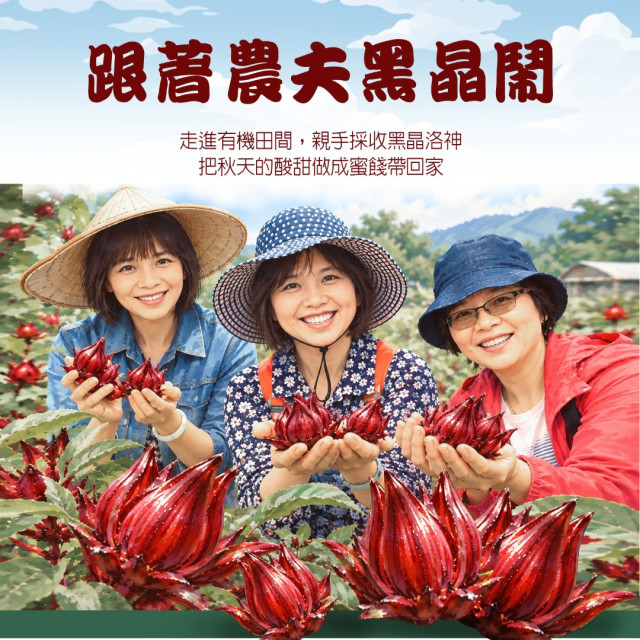 跟著農夫黑晶鬧：黑晶洛神採收季報名表