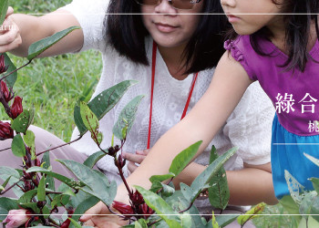 【桃園大溪】綠合農場：在良田間種下一顆顆健康的種子，建構起美好的親子關係