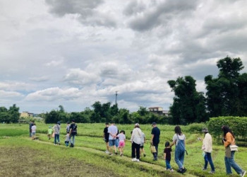 康莊有機聚落生態行動趣 大專生與青農進行創新跨域學習
