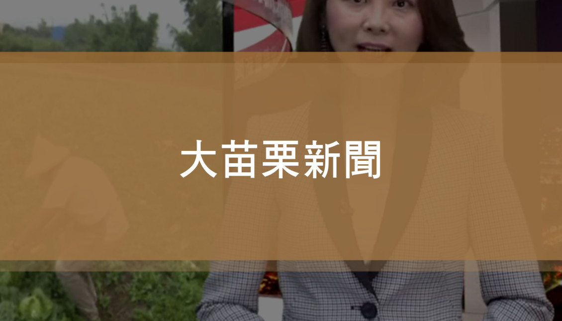 讓蟲吃小白菜 自然農法高麗菜最好吃《T-NEWS聯播網》