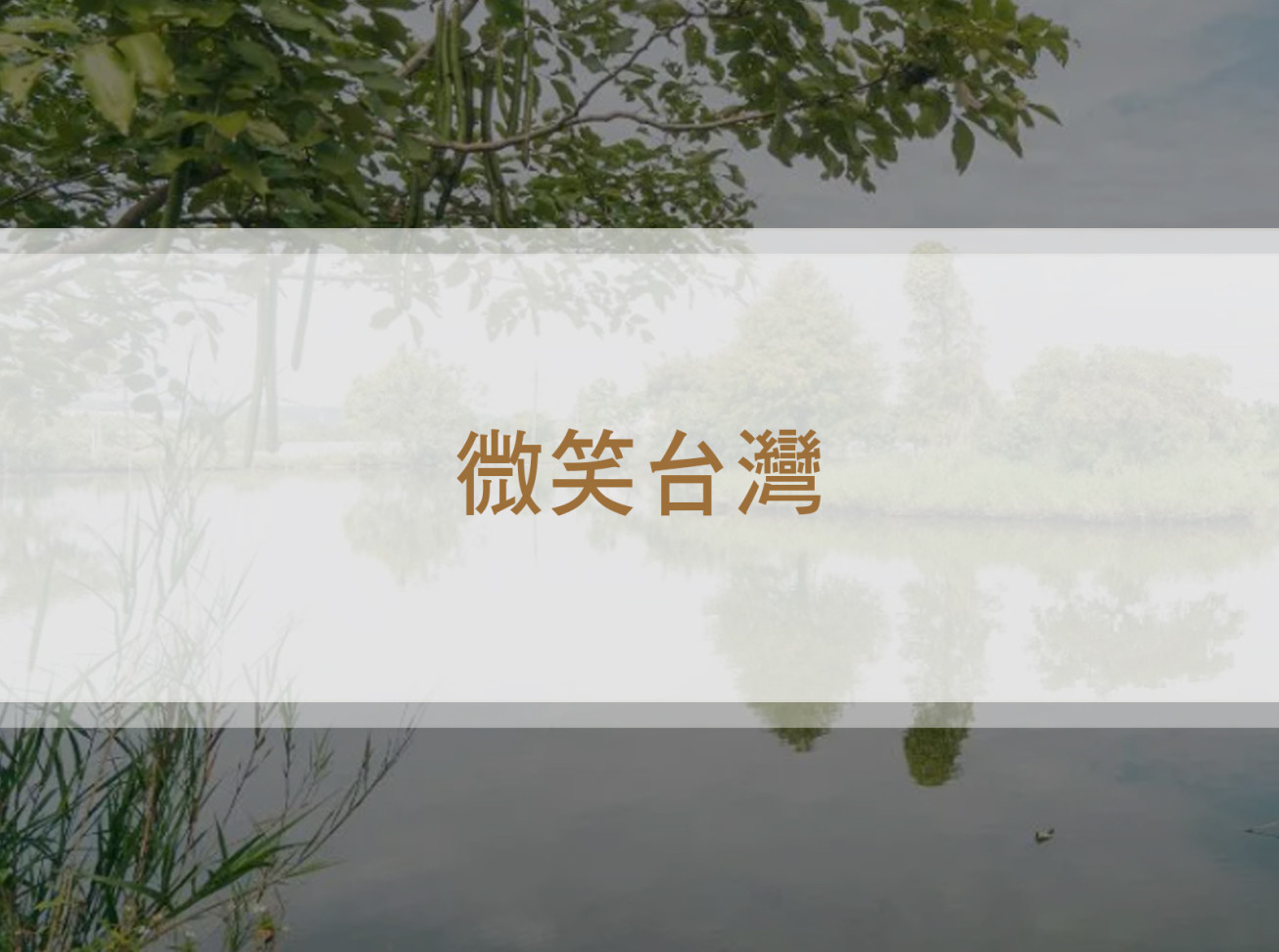 「微酵派對」從食農教育出發，讓吃得好成為改變的力量