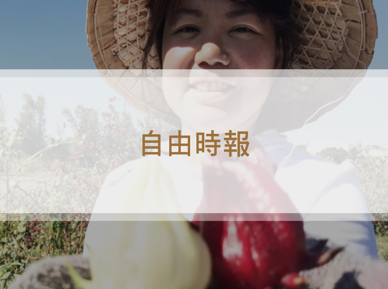 到大溪找紅寶石！ 首屆洛神花節28、29日登場