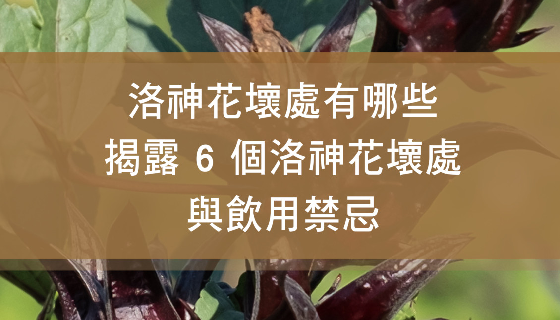 洛神花壞處有哪些？揭露 6 個洛神花壞處與飲用禁忌