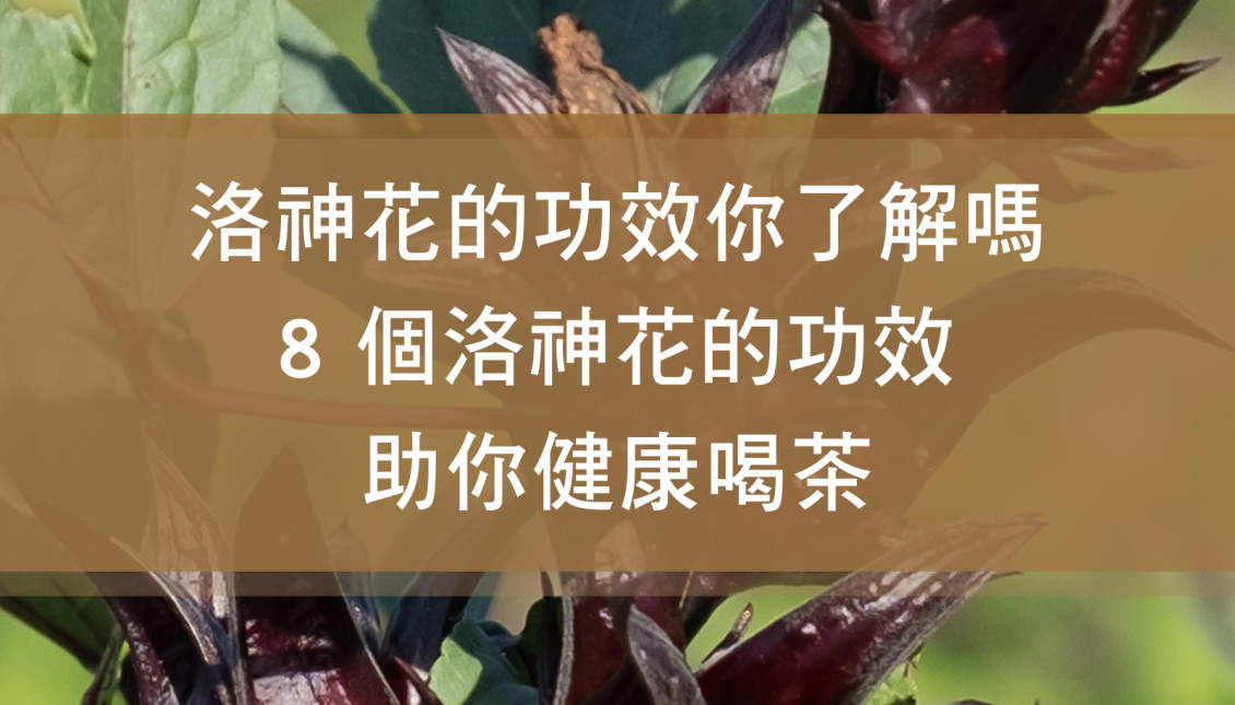 洛神花的功效你了解嗎？8 個洛神花的功效助你健康喝茶