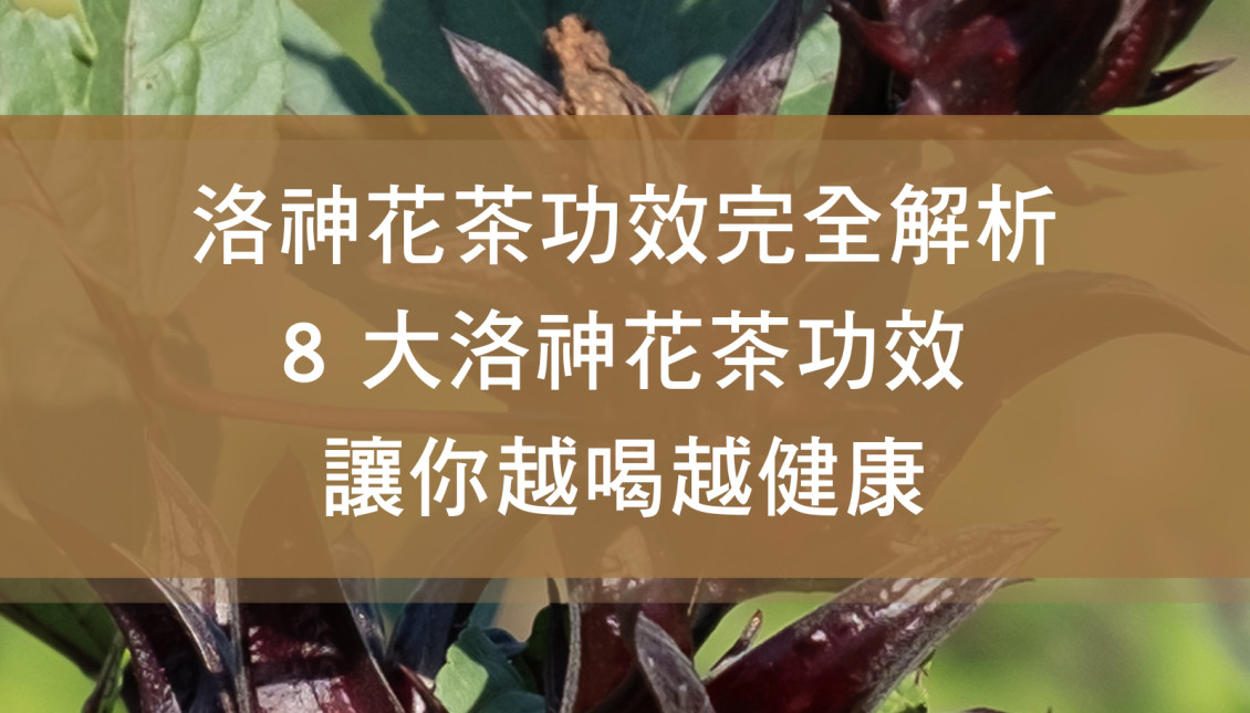 洛神花茶功效完全解析：8 大洛神花茶功效讓你越喝越健康