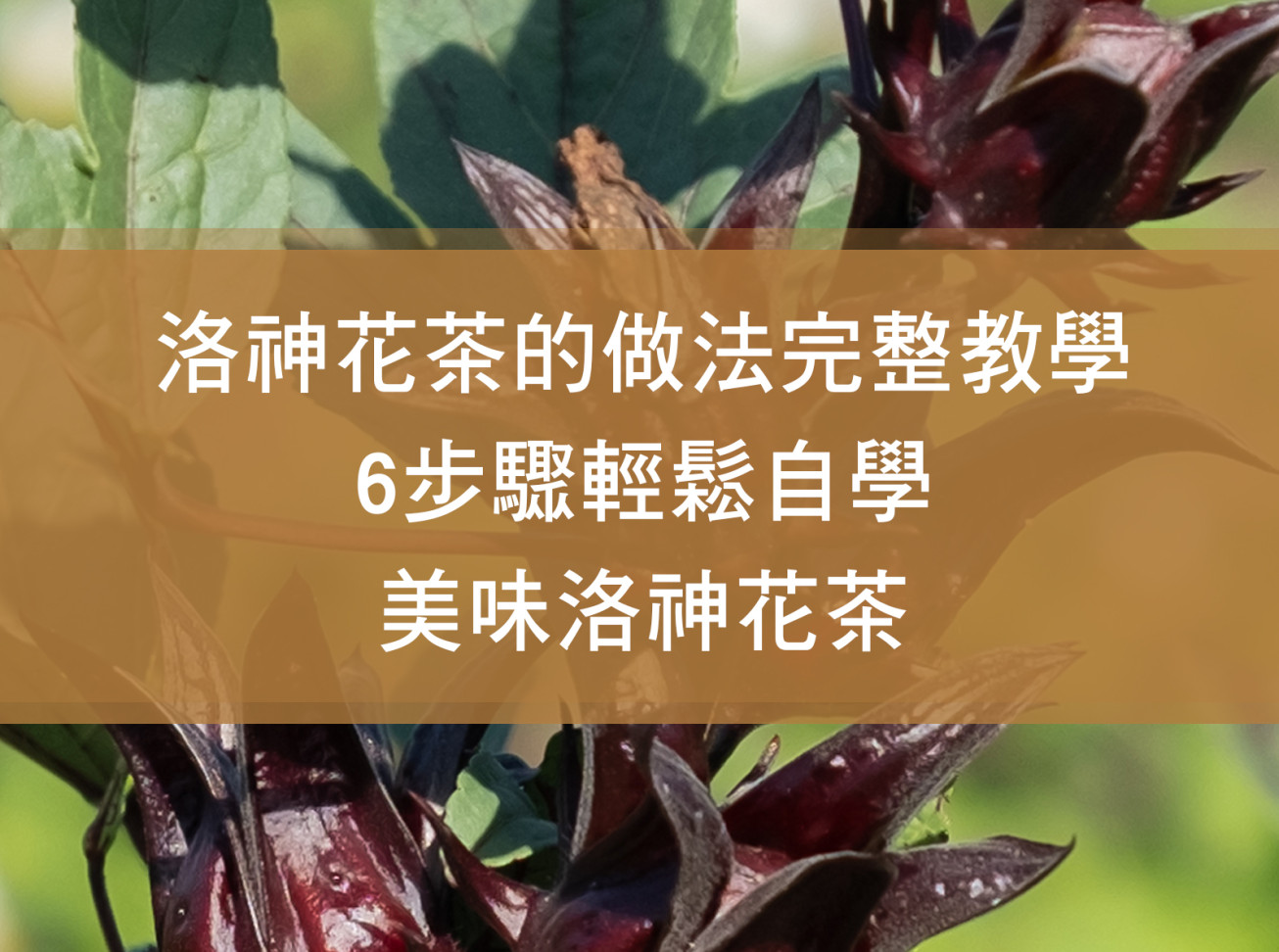 洛神花茶的做法完整教學：6 步驟輕鬆自製美味洛神花茶