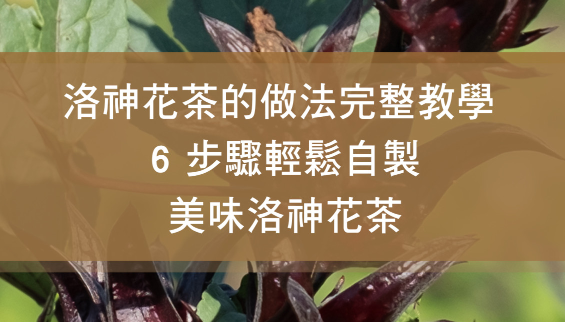 洛神花茶的做法完整教學：6 步驟輕鬆自製美味洛神花茶