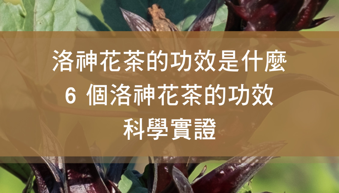 洛神花茶的功效是什麼？6 個洛神花茶的功效科學實證