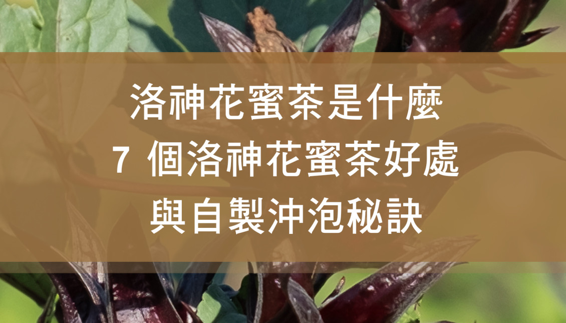 洛神花蜜茶是什麼？7 個洛神花蜜茶好處與自製沖泡秘訣