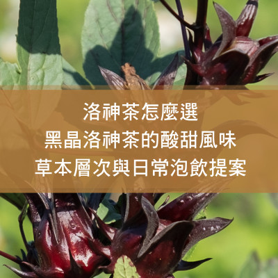 洛神茶怎麼選？黑晶洛神茶的酸甜風味、草本層次與日常泡飲提案