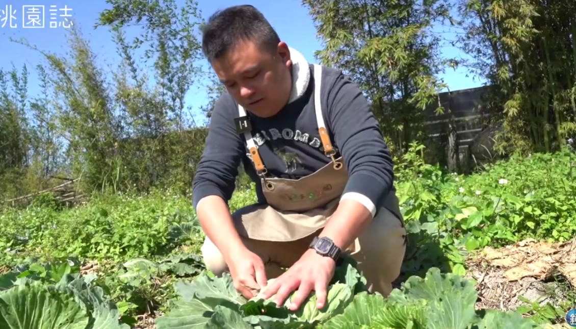 讓聚落成型　打造永續的未來生活《桃園誌》