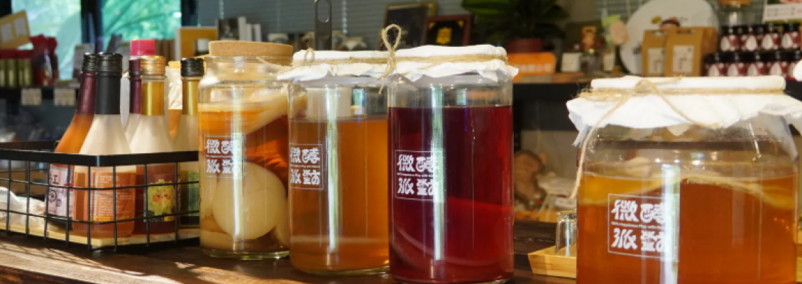 放大大溪｜用一瓶康普茶放大風土滋味、與微生物共好—綠合農場