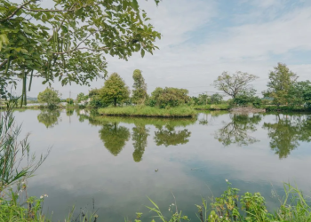 「微酵派對」從食農教育出發，讓吃得好成為改變的力量