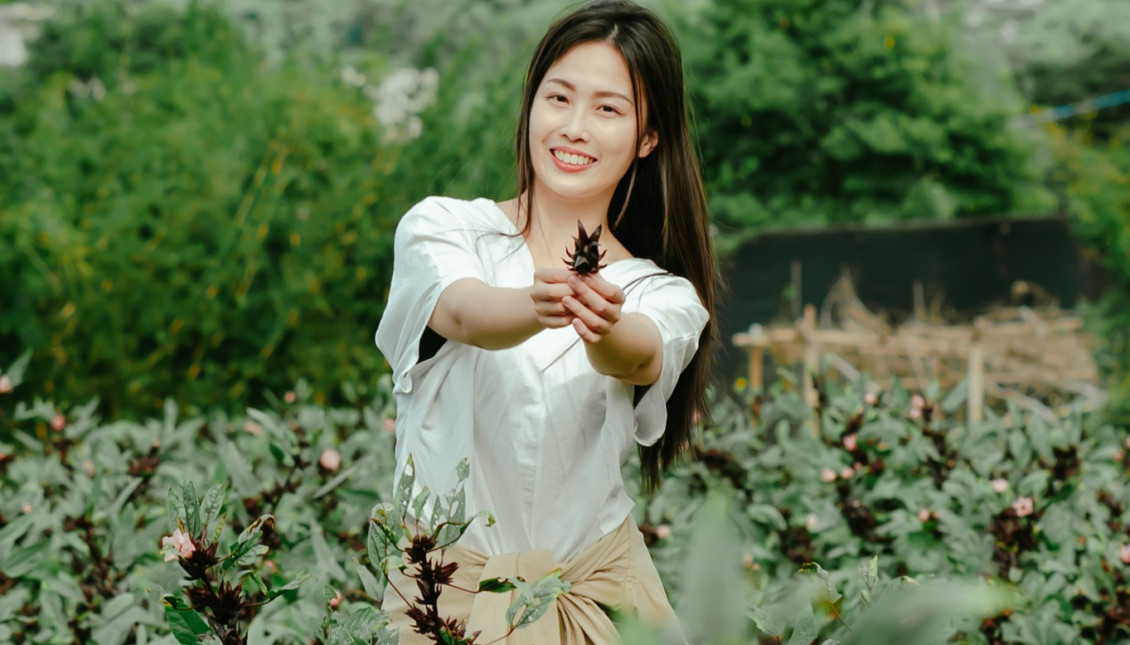 114年11月活動資訊