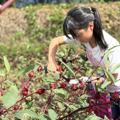 走進真實場域，讓我們看到自己